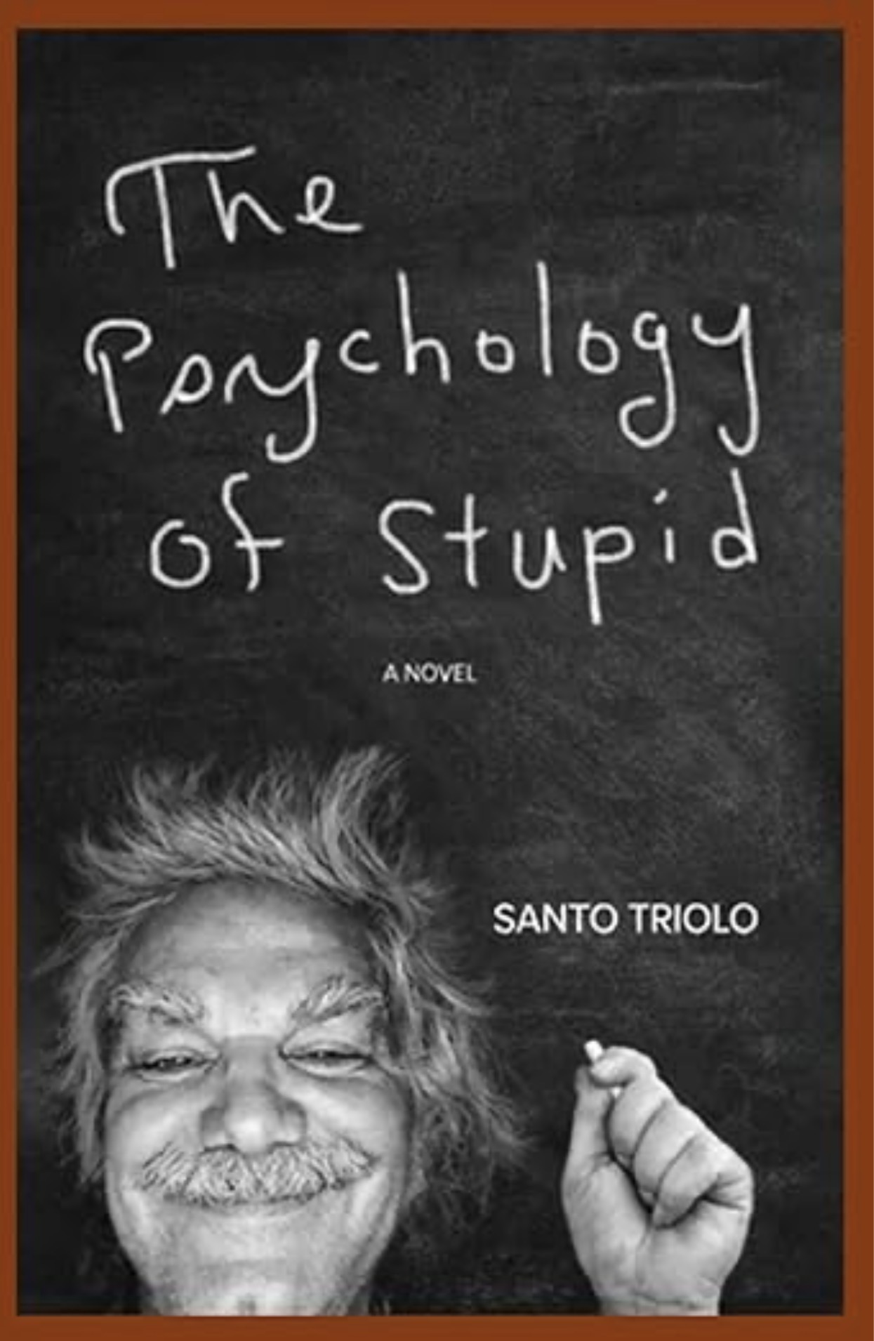 The Psychology of Stupid Book Cover